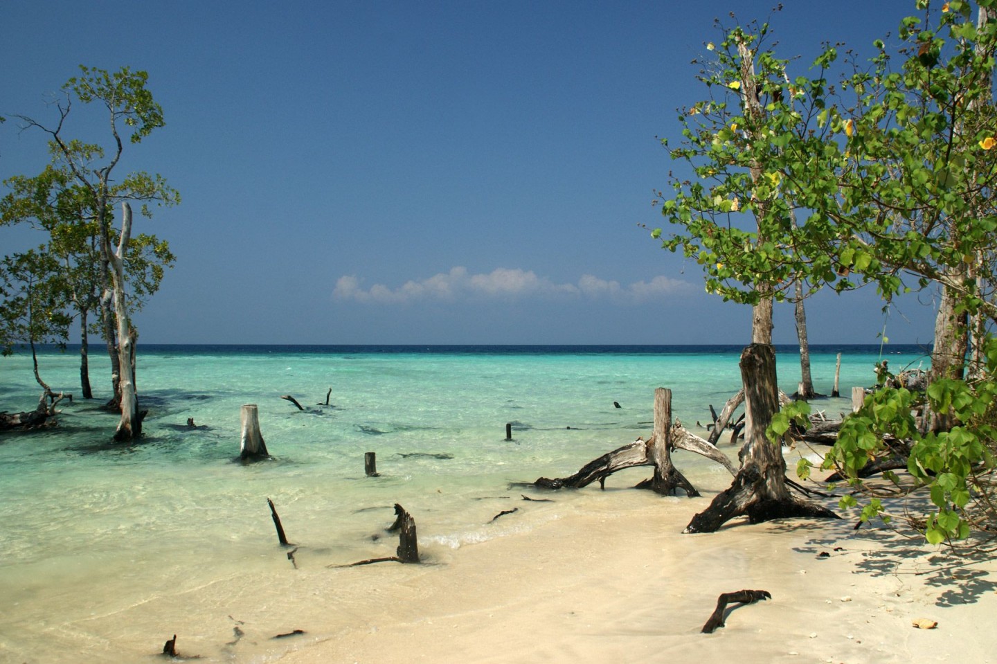 6 Days Andaman Tour Package